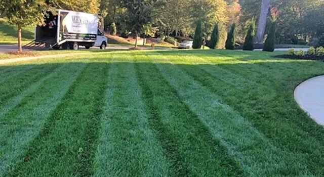 Turf management