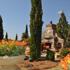 Cedar trees lining a waterfront property with colorful flower planters