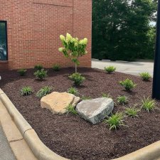 Commercial brick building with new mulch bed shrubs and ornamental tree
