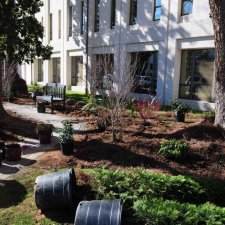 Commercial landscape installation with new shrubs and planting beds under large mature trees