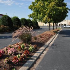 Commercial parking lot median with seasonal flowers and ornamental grass