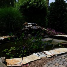 Natural stone pond surrounded by lush plants and water garden
