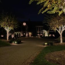 Driveway lined with illuminated trees and holiday lights at night