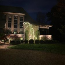 Landscape lighting on home facade with illuminated cascading greenery