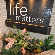 Indoor water feature with decorative plants and illuminated “life matters” wall fountain