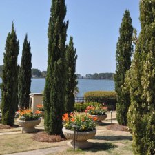 Lakefront landscape with tall cypress trees and colorful planter arrangements