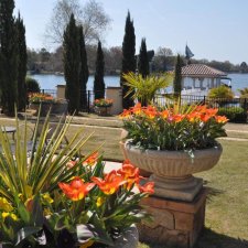 Colorful garden planters overlooking lake with cypress trees
