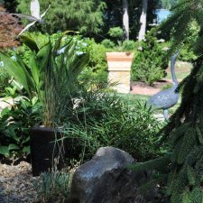 Artistic lakeside garden featuring greenery, stone accents, and metal bird sculpture