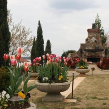 Tulip garden leading to a stone outdoor fireplace with seating