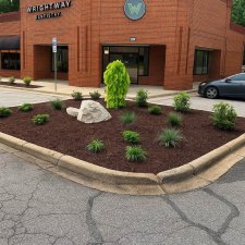 Commercial parking lot island with mulch shrubs rock feature and ornamental tree