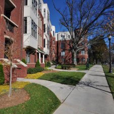 Urban residential landscaping along sidewalk with trimmed shrubs